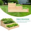 3 Tier Elevated Wooden Vegetable Garden Bed