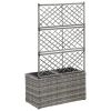 Trellis Raised Bed with 2 Pots 22.8" x 11.8" x 42.1" Poly Rattan Gray