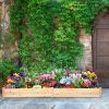 Wooden Vegetable Raised Garden Bed for Backyard Patio Balcony