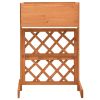 Garden Trellis Planter Orange 17.7"x11.8"x29.1" Solid Firwood