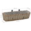 Balcony Planter 2 pcs Wicker with PE Lining 23.6"