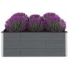 Garden Raised Bed WPC 59.1"x39.4"x21.3" Gray