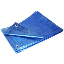 Blue 30 x 60 Tarp